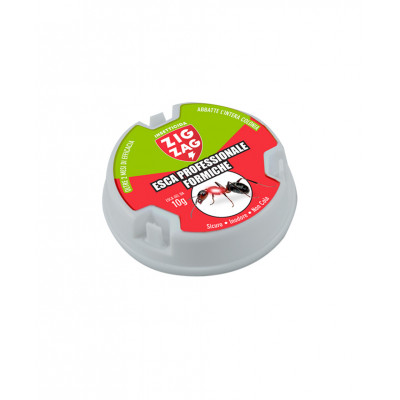 ZIG ZAG Esca Formiche