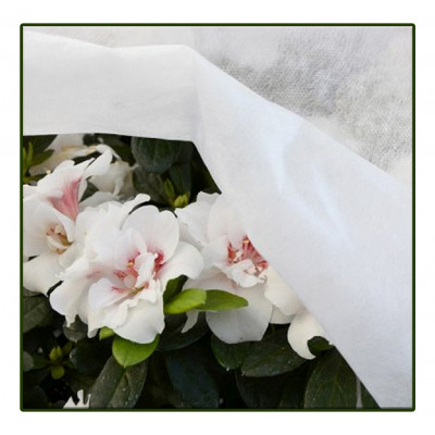 TELO TNT VELO BIANCO GR.17  MT 1.6X5